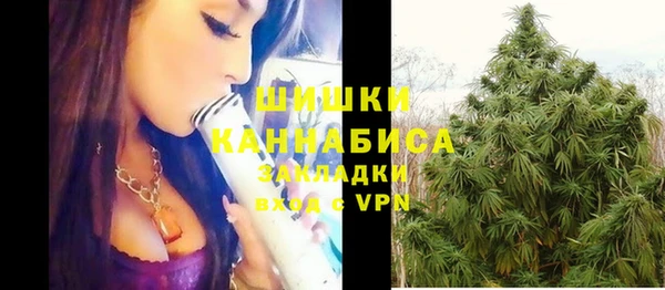 бошки Покачи